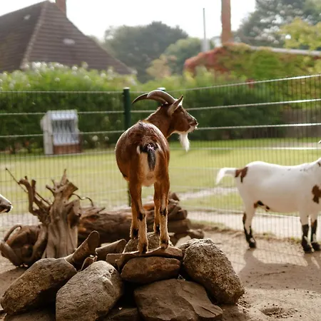 Am Hof 1 * Staberdorf