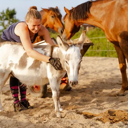 Am Hof 1 Hébergement de vacances