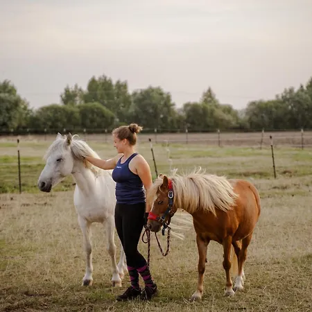 Am Hof 1 Hébergement de vacances Staberdorf