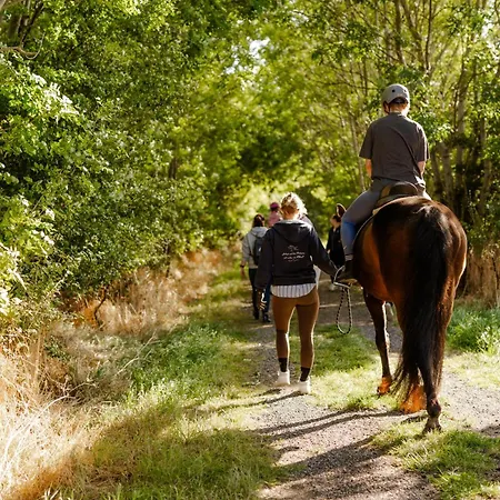Am Hof 1 Semesterbostad *