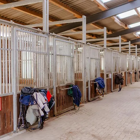 Semesterbostad Am Hof 1 *