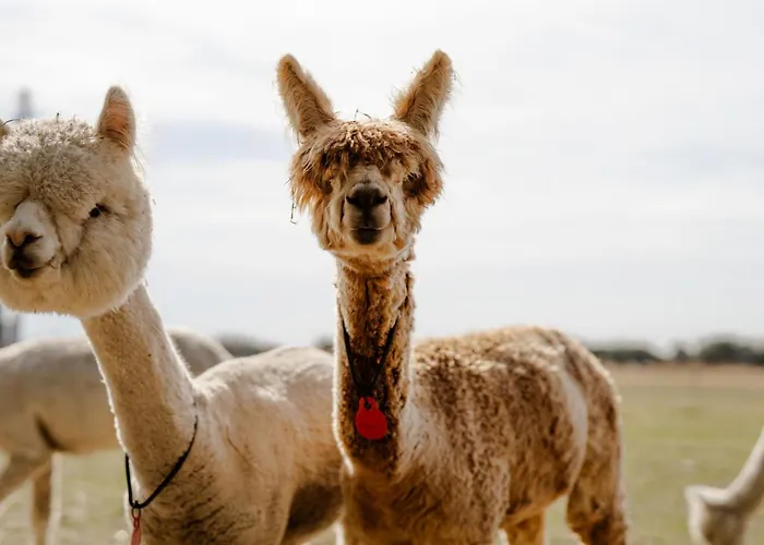 Am Hof 1 Casa de Férias Staberdorf