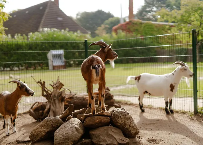 Am Hof 1 * Staberdorf