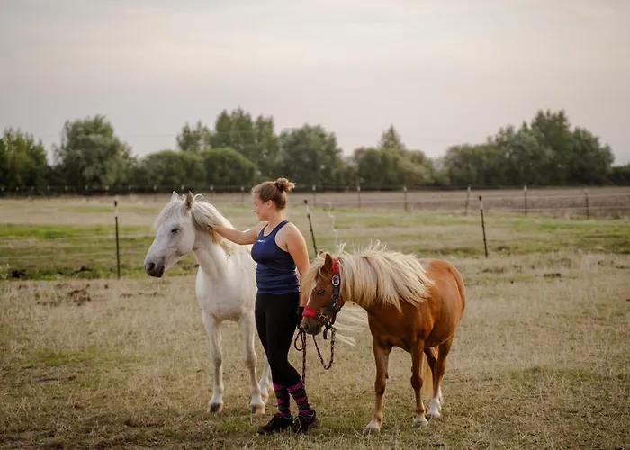 Am Hof 1 Casa de Férias Staberdorf