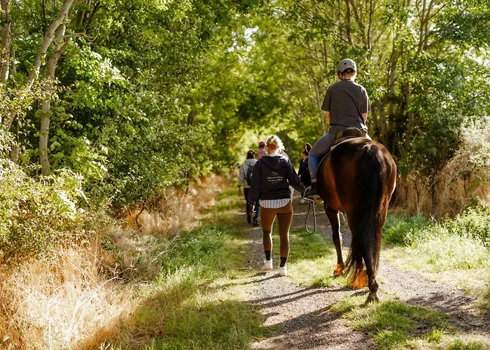 Am Hof 1 Casa de Férias *