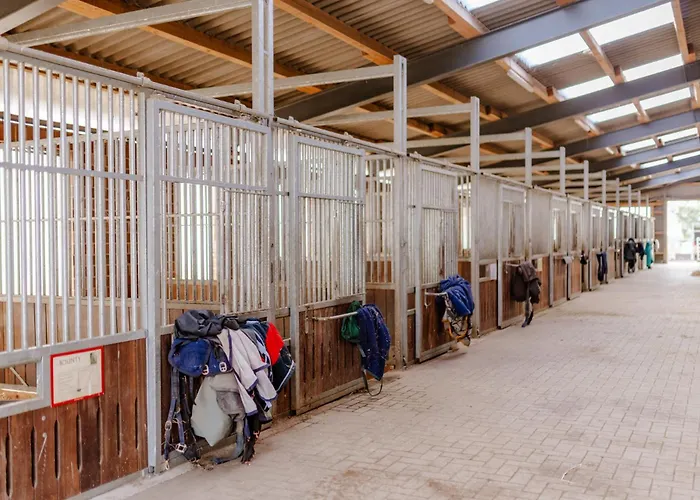 Casa de Férias Am Hof 1 *